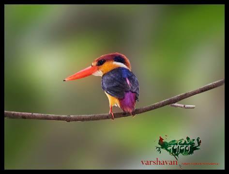 Varshavan- Nature, Hobby And Art Residency Hotell Dāpoli Exteriör bild